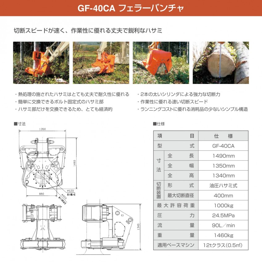 イワフジフェラーバンチャのイメージ画像